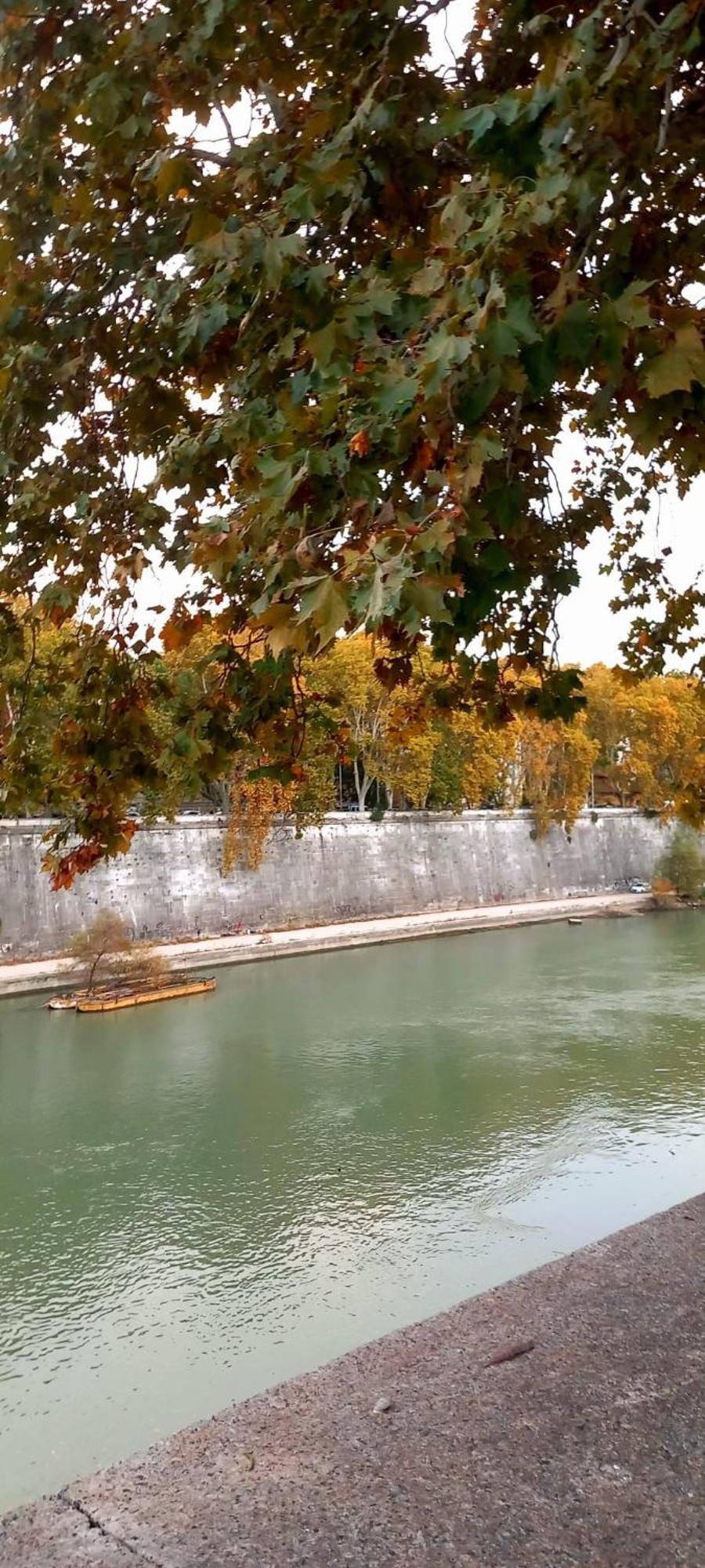 Riversidemellini44 Affittacamere